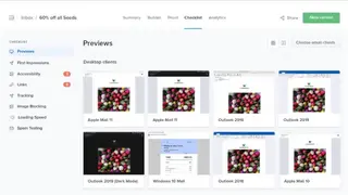 Litmus screenshot