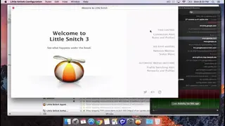 Little Snitch screenshot