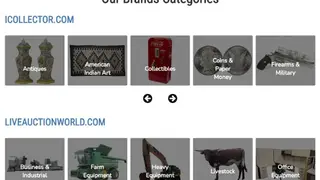 Live Auction Software screenshot