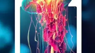 Live Wallpaper Themes Pro screenshot