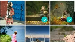LiveCollage screenshot