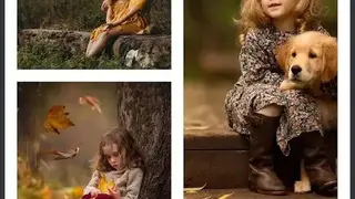 LiveCollage screenshot