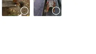 Livejournal screenshot