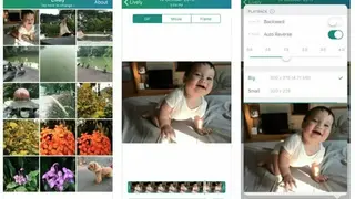 Lively screenshot