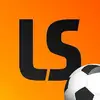 LiveScore: Live Sport Updates