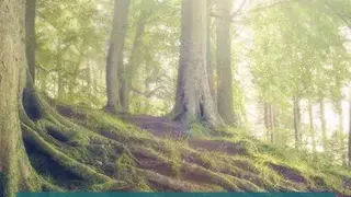 Living the 7 Habits screenshot