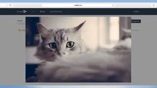 Loadbt screenshot