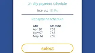 Loanbee screenshot