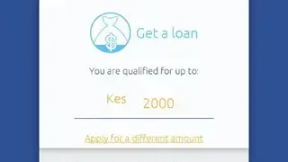 Loanbee screenshot