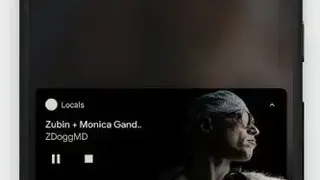 Locals screenshot