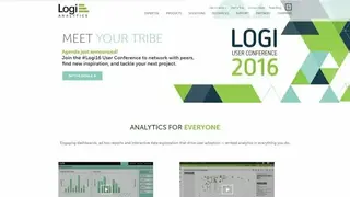 Logi Analytics screenshot