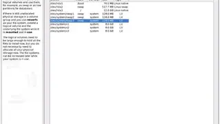 Logical Volume Manager screenshot