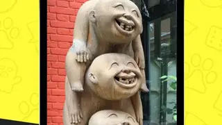 LOL Pics (Funny Pictures) screenshot