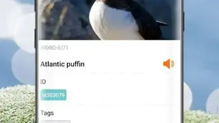 Lookuq screenshot
