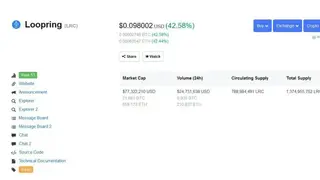 Loopring (LRC) screenshot