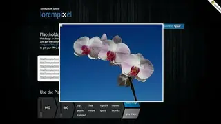Lorempixel screenshot