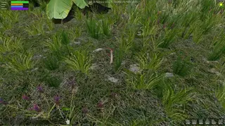 Lost in Nature screenshot