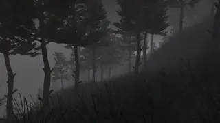 Lost in Nature screenshot