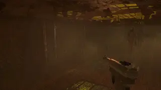 Lost in Vivo screenshot