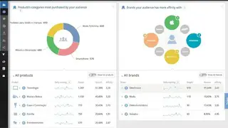 Lotame Data Management screenshot