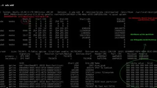 Lsdisk screenshot
