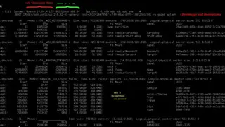 Lsdisk screenshot