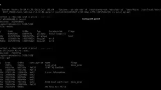 Lsdisk screenshot