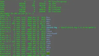 Lsdisk screenshot