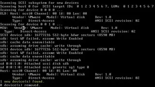 Lsscsi screenshot