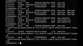 Lsscsi screenshot
