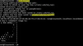 Lsyncd screenshot