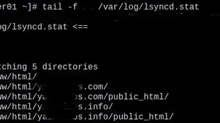 Lsyncd screenshot