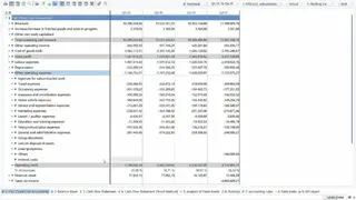 LucaNet screenshot