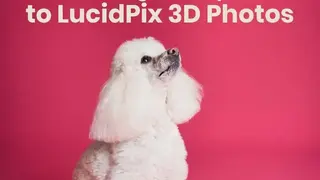 LucidPix 3D Photos screenshot
