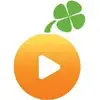 Lucky Orange