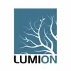 Lumion