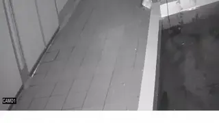 LView screenshot