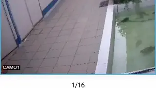 LView screenshot
