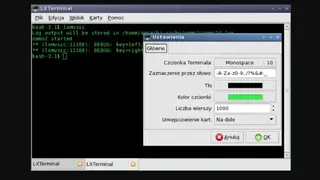 LXTerminal screenshot