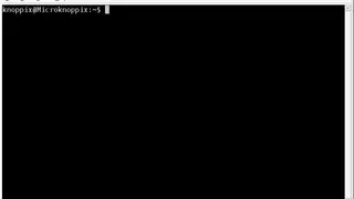LXTerminal screenshot