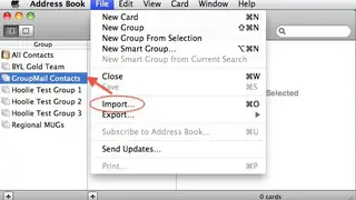 Mac Address Book screenshot