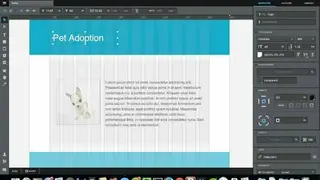 Macaw screenshot