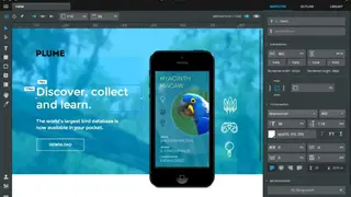 Macaw screenshot