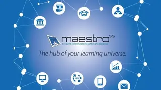 MAESTRO SIS screenshot