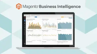 Magento Business Intelligence screenshot