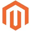 Magento Business Intelligence
