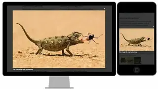 Magnific Popup screenshot
