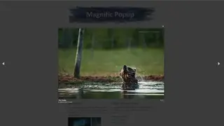 Magnific Popup screenshot
