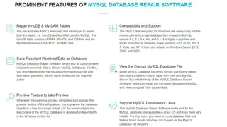 MailConverterTools MySQL Database Repair screenshot