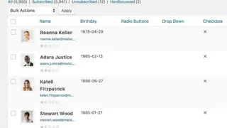 Mailster for WordPress screenshot